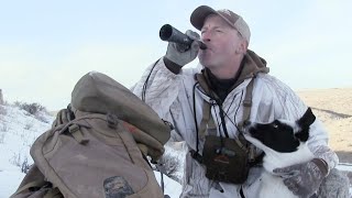 Coyote Hunting Calling Tips - Howling