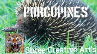 Porcupines