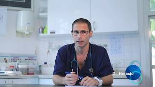 Dr Horacio | Modern Veterinary Clinic | Commercial Videography