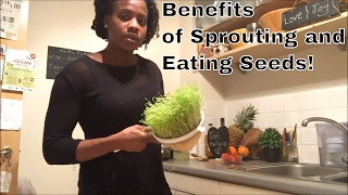 Benefits of Sprouting and Eating Seeds