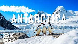 Antarctica 8K - Majestic Icebergs, Penguins and Arctic Silence