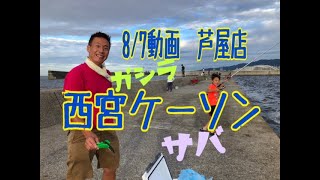 8/７西宮ケーソンでサバとガシラ連発　フィッシングマックス芦屋店