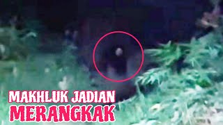 DIKEJAR MAKHLUK BERBULU, MUKA MERAH!  | PARANORMAL BOSSWAN