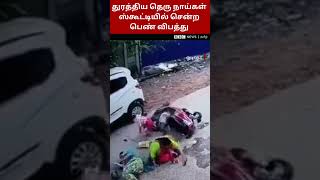 தெரு நாய்கள் துரத்தியதால் பயந்து கார் மீது Scooty-ஐ மோதிய  பெண்