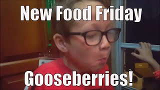 New Food Friday | Taste Test | Gooseberries