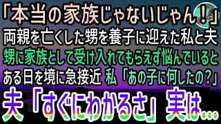 【感動する話】幼くして両親を亡くした甥を引き取り養子に迎えた私と夫。甥「本当の家族じゃない！」家族として受け入れてもらえず数週間経った…しかしある日を境に急接近！私「あの子に何したの？」実は