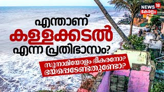 What is Swell Surge? എന്താണ് കള്ളക്കടൽ എന്ന പ്രതിഭാസം? Tsunamiയോളം ഭീകരനോ? ഭയപ്പെടേണ്ടതുണ്ടോ? | N18V