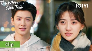 💊Reuniting is their antidote 🤗| 🕊️The White Olive Tree | iQIYI Philippines