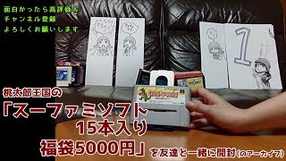 桃太郎王国の「スーファミソフト15本入り福袋5000円」を友達と一緒に開封（のアーカイブ）