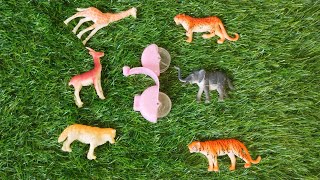 tiger 🐅 elephant and hiran story Hindi with playing kids animal toy