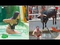 TOTAL IDIOTS AT WORK l Instant Regret Fails Compilation 2024 #123