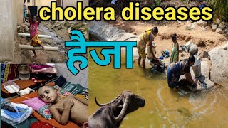 cholera diseases( हैजा बिमारी) केसे फैलती है ! उपचार एवं रोकथाम