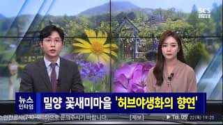 밀양 꽃새미마을 참샘허브나라