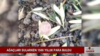 AĞAÇLARI SULARKEN 1500 YILLIK PARA BULDU