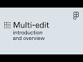Multi-edit introduction and overview