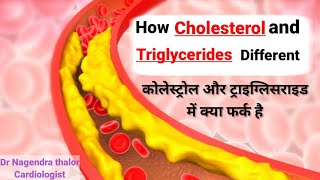 Difference between cholesterol and triglyceridesII कोलेस्ट्रॉल और ट्राइग्लिसराइड मैं क्या डिफरेंस है