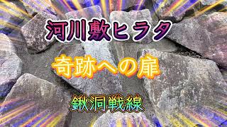 【クワガタ採集】【神回】赤枯れ材の奇跡❗河川敷ヒラタクワガタ採集