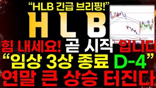 [HLB]  [속보] 힘 내세요! \