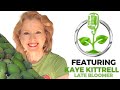 From Garden to Homestead | with Kaye Kittrell from Late Bloomer