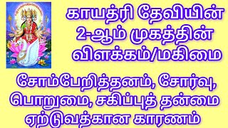 சரயோகத்தில் காயத்ரி தேவியின் 2-ஆம் முகத்தின் சூட்சுமம் – சுவாதிஸ்டானம். 30 நிமிடம்