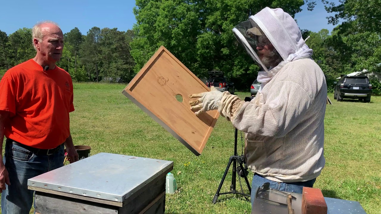 Honey Bee Escape Board To Aid In Honey Harvesting - YouTube