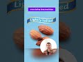 blue diamond almonds low sodium lightly salted snack nuts