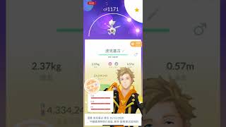 Pokémon GO 波克基古 Togetic IV100%