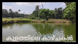 കുളത്തിലെ കാഴ്ചകൾ II KULATHILAE KAAZHCHAKAL