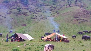 Most Peaceful And Relaxing Himalayan Village Lifestyle | Organic Shepherd Food | Real Nepali Life |