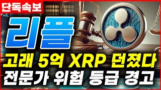 [리플전망] SEC, XRP 추가 조사 착수! “불법 거래 정황 발견”