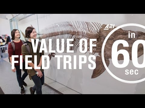 What is the importance of educational field trip?