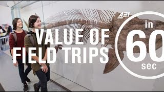 Do field trips have educational value? | IN 60 SECONDS