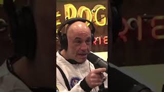 Joe Rogan talks about how your intellect is lowering #popular #joerogan