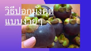 วิธีปอกมังคุดแบบง่ายๆ ไม่ใช่มีด Easy way  to peel mangosteen #มังคุด #mangosteen #เคล็ดลับปอกมังคุด