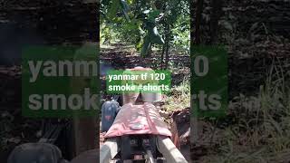 yanmar tf #120 smoke🚜🚜🚜