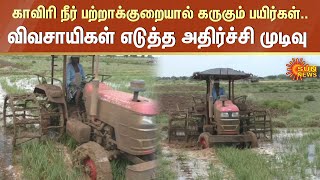 காவிரி நீர் பற்றாக்குறையால் கருகும் பயிர்கள் | விவசாயிகள் எடுத்த அதிர்ச்சி முடிவு | TN Farmers