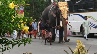 തിരുവാഭരണ-കലവറ നിറയ്ക്കൽഘോഷയാത്ര കാണണ്ടെ.  നാളെയാണ് കൊടിയേറ്റ്. മറക്കണ്ട. @sreenialakode8033