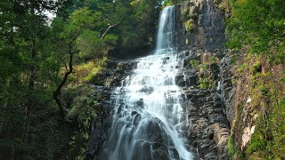 白滝（宮崎県都農町） Shira Falls（Miyazaki,Japan）