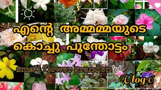 എന്റെ അമ്മമ്മയുടെ കൊച്ചു പൂന്തോട്ടം/ small Garden tour/ Vlog 6/ Mithra Mithoos World channel