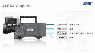 ARRI NAB 2012 Press Conference: ALEXA Workflow