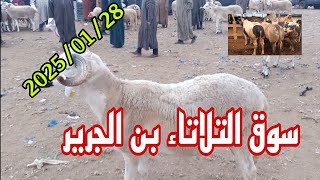 مباشرة من سوق التلاتاء بن الجرير إقليم الرحامنة مع أتمنة الخروف الكسابي 🐏 وحولي وعجول 2025/01/28