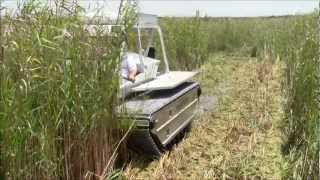 Marsh Master MM-2C Cutting Phragmites