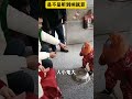 hello babygaga宝宝乐 shorts 算你聰明 😄 寶寶 萌娃 人類幼崽 嬰兒 kids baby cute funny