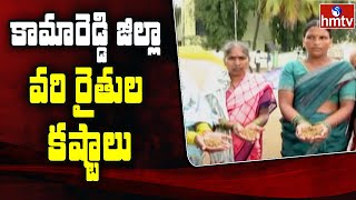 కామారెడ్డి జిల్లా వరి రైతుల కష్టాలు | Kamareddy Dist Paddy Farmers | hmtv News