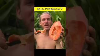 ప్రపంచంలో నే 3 విచిత్రమైన పళ్ళు 🤯 #shorts #viral #youtubeshorts