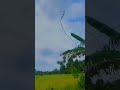 😍 snake kite flying in sri lanka 2023 beautiful kite