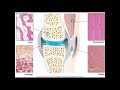 alterations in musculoskeletal function