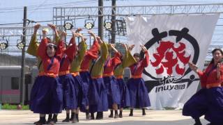 高知学生 旅鯨人（犬山踊芸祭2017　1日目）