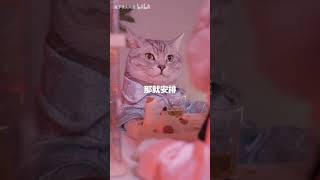 生活不易，猫猫叹气