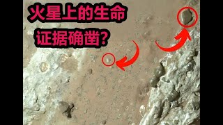 毅力号在火星上发现生命的线索！这块岩石震惊了NASA